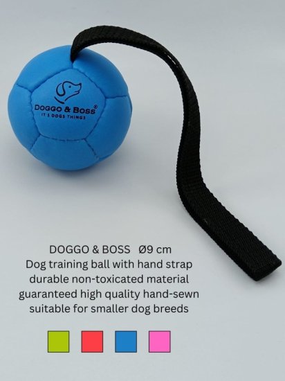 Dog Training Balls