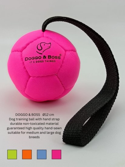 Dog Training Balls