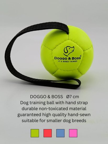 Dog Training Balls
