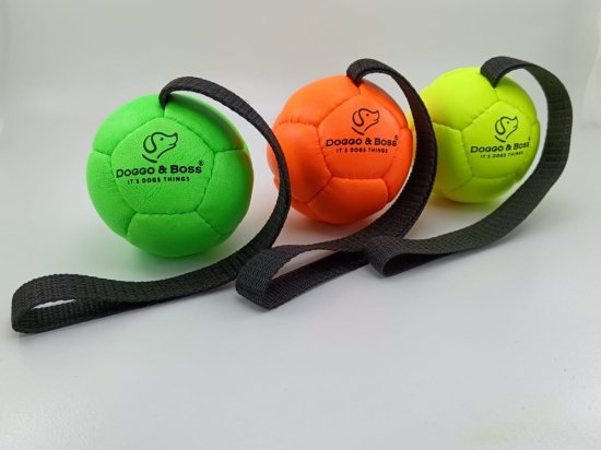Dog Training Balls