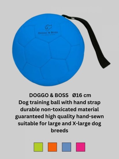 Dog Training Balls