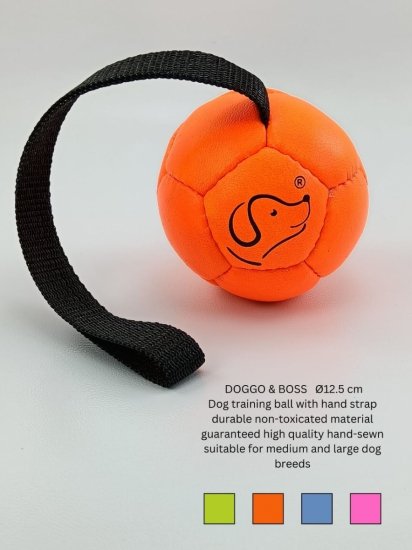 Dog Training Balls