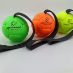 Dog Trainer Ball